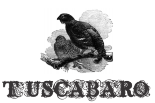 Tuscabaro: A Unique Display Font for Creative Projects