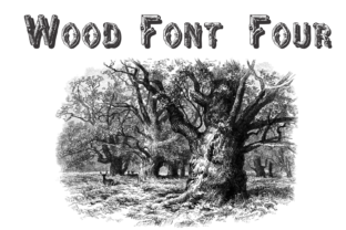 Wood Four: A Typeface Rooted in Nature's Texture